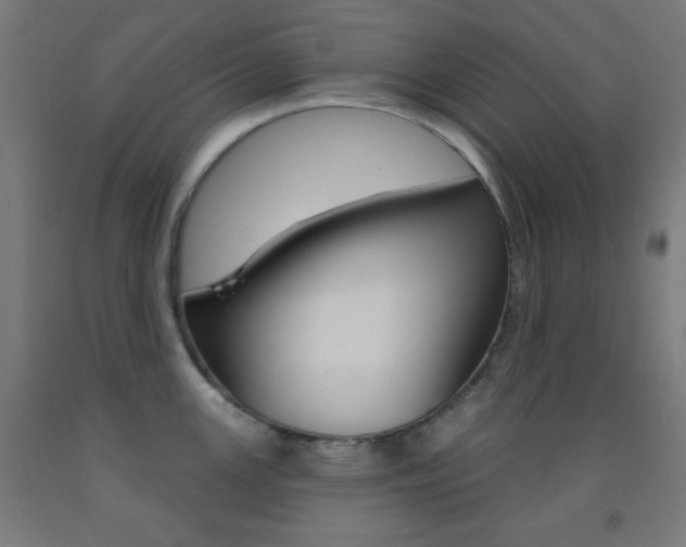 X0000093251147200709261551