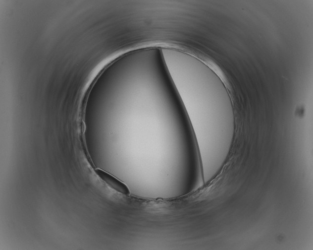 X0000093251148200709261551