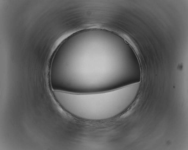 X0000093251149200709261551