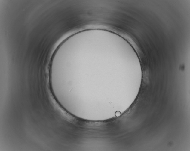 X0000093251150200709261551