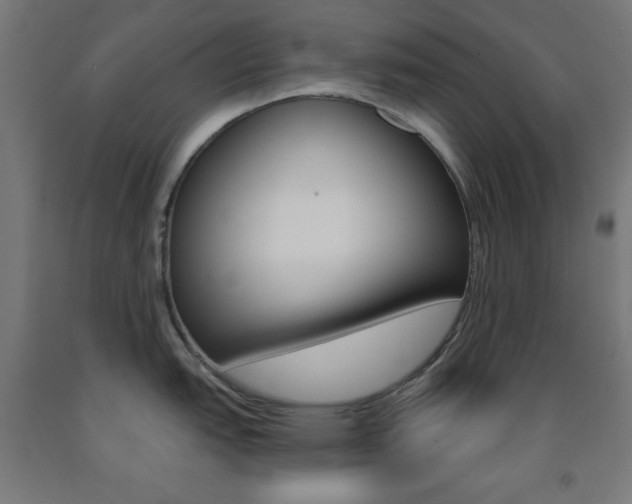 X0000093251151200709261551