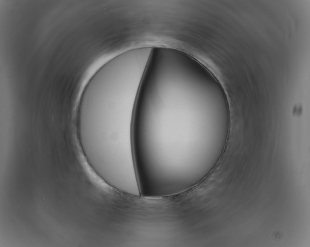 X0000093251152200709261551