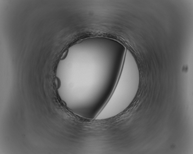 X0000093251153200709261550