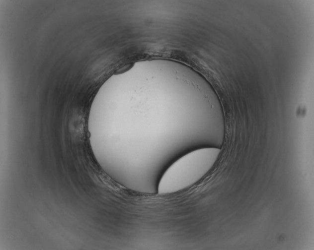 X0000093251154200709261550