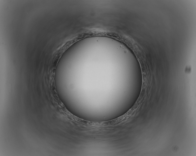 X0000093251157200709261550