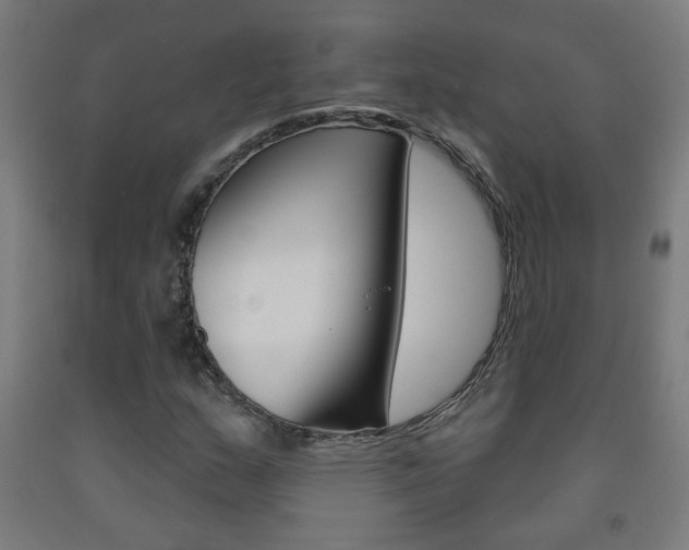 X0000093251159200709261550