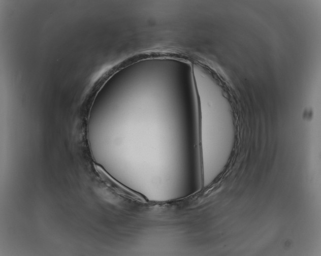 X0000093251160200709261550