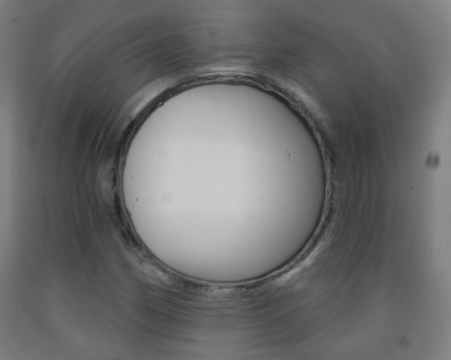 X0000093251162200709261550