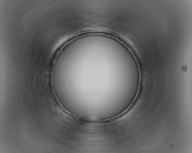 X0000093251163200709261550