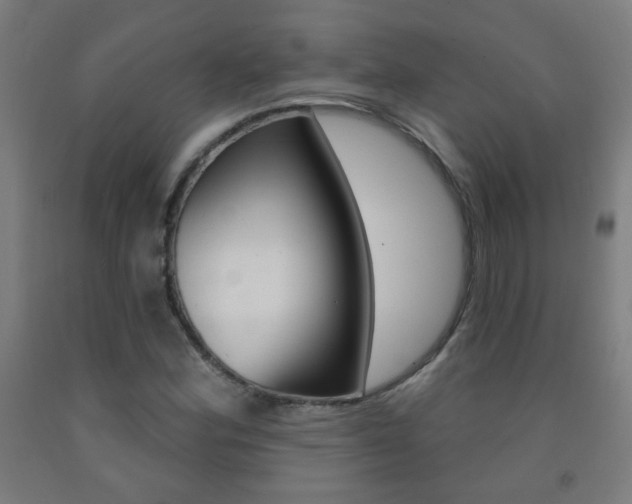 X0000093251164200709261550