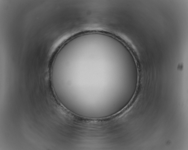 X0000093251167200709261550