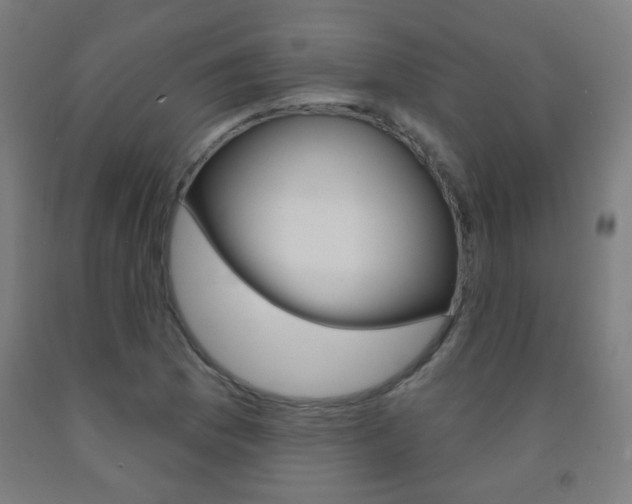 X0000093251169200709261550