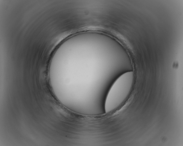 X0000093251170200709261550
