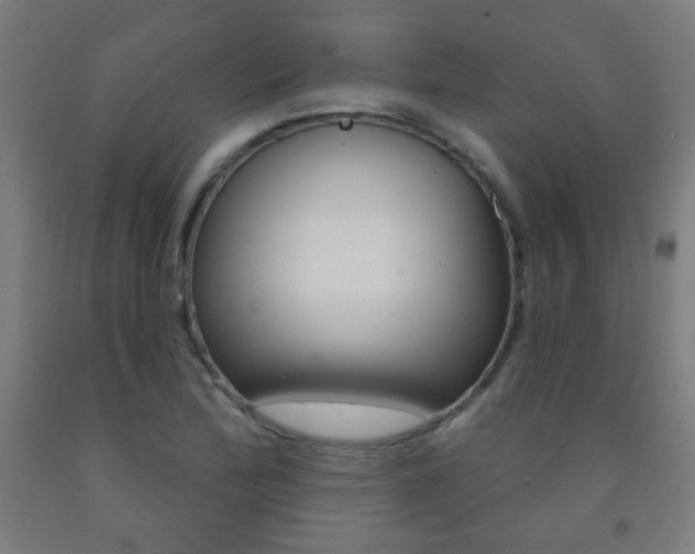 X0000093251172200709261550