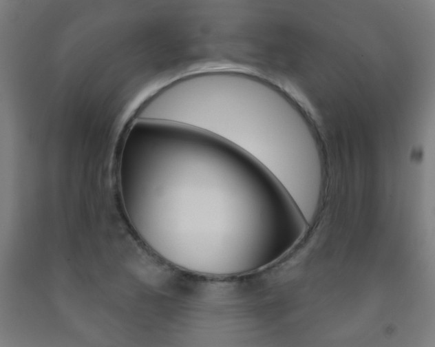 X0000093251173200709261550