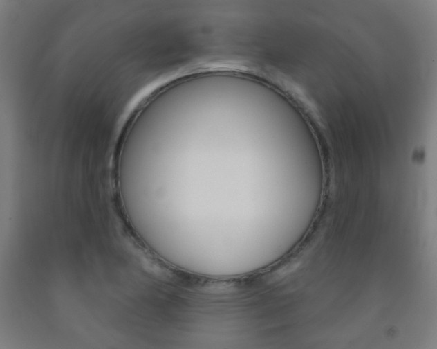 X0000093251174200709261550