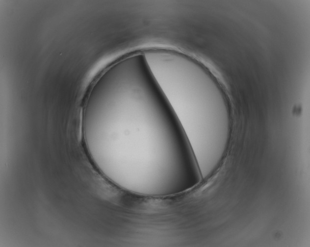 X0000093251175200709261550