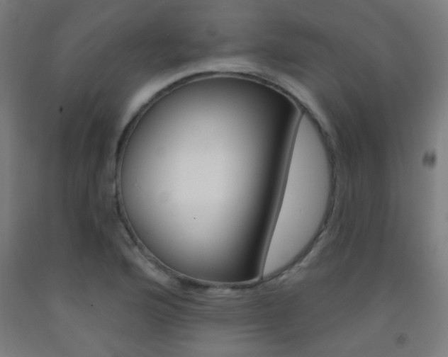 X0000093251176200709261550