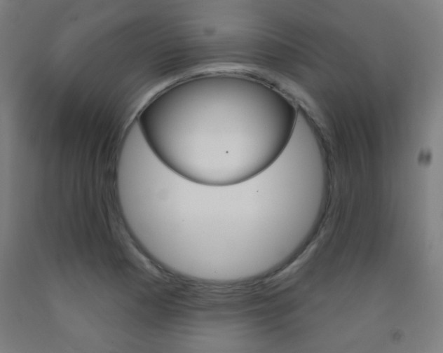 X0000093251177200709261550