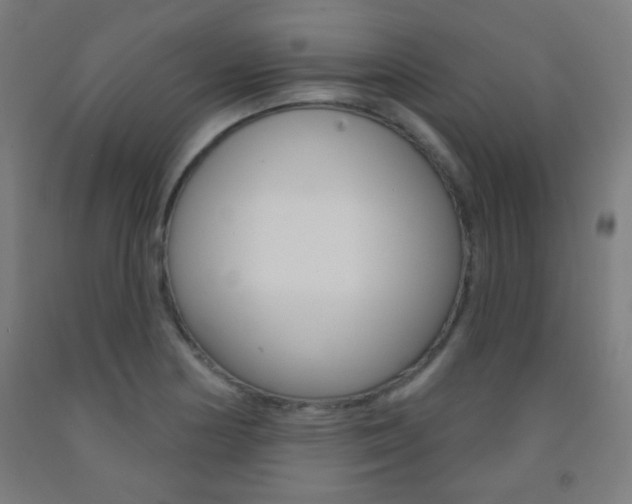 X0000093251178200709261550