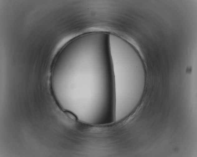 X0000093251179200709261550