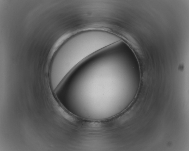 X0000093251180200709261550