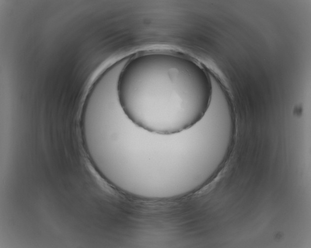 X0000093251181200709261550