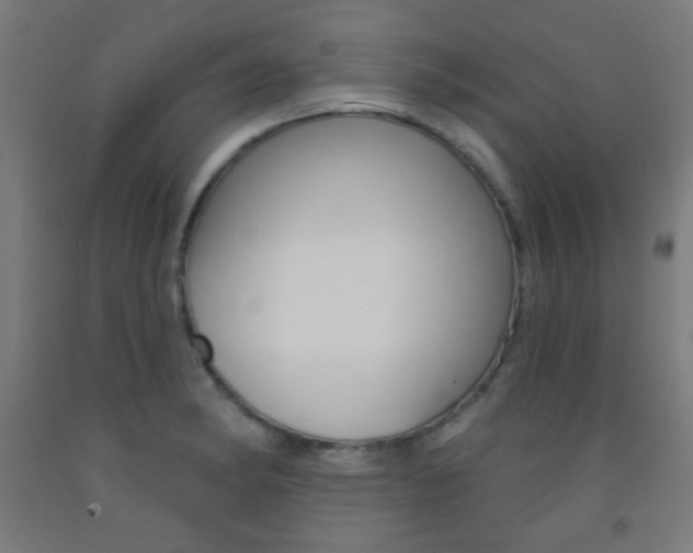X0000093251182200709261550