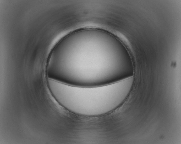 X0000093251183200709261550