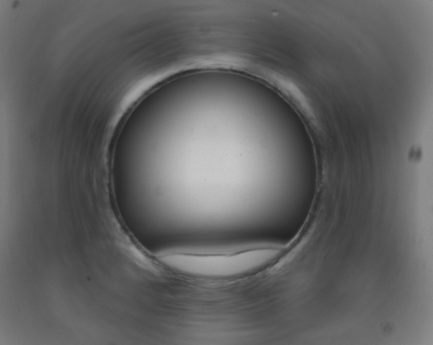 X0000093251184200709261550