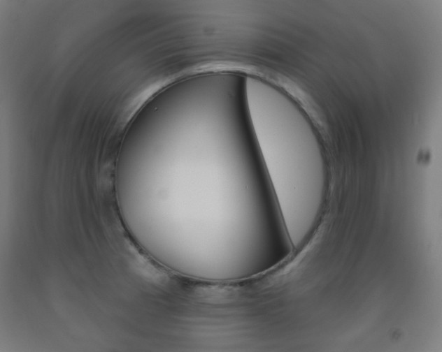 X0000093251185200709261550