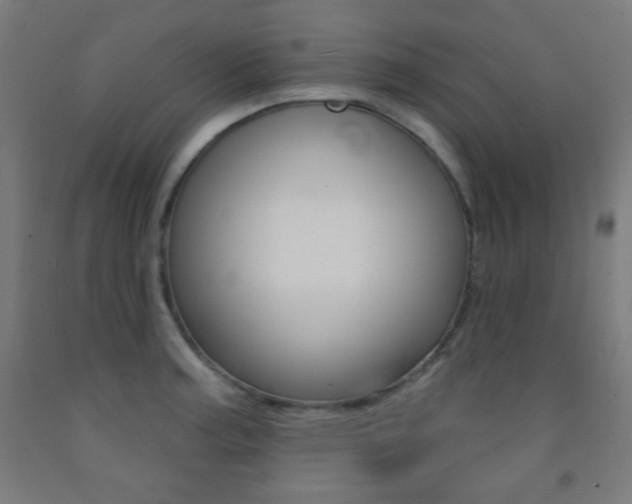 X0000093251187200709261550