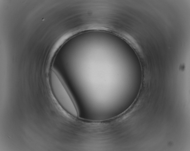 X0000093251188200709261550