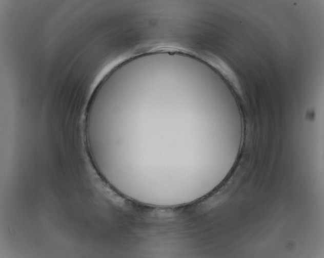 X0000093251190200709261550