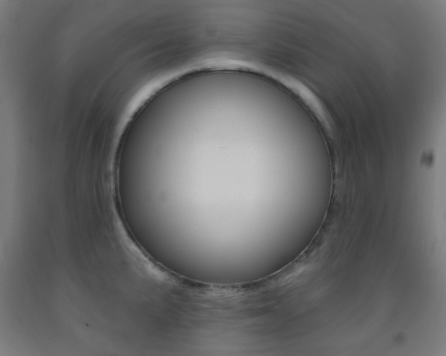 X0000093251191200709261550