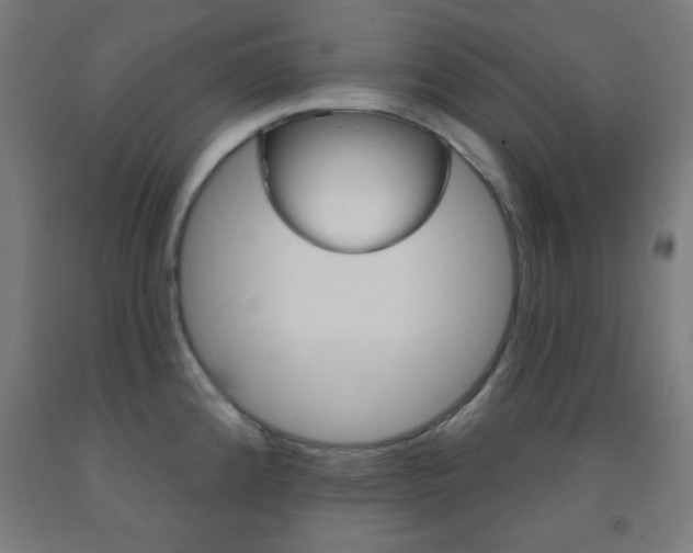 X0000093251192200709261550