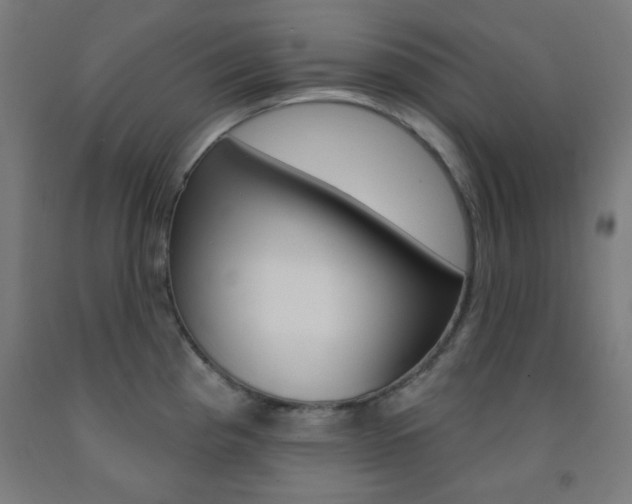 X0000093251193200709261550