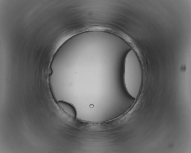X0000093251194200709261550