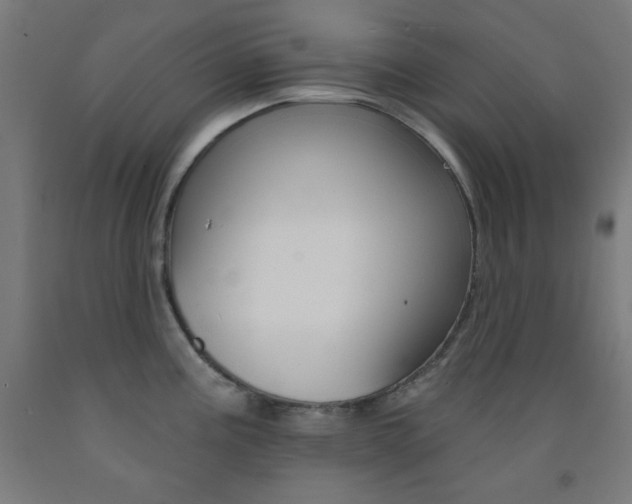 X0000093251195200709261550
