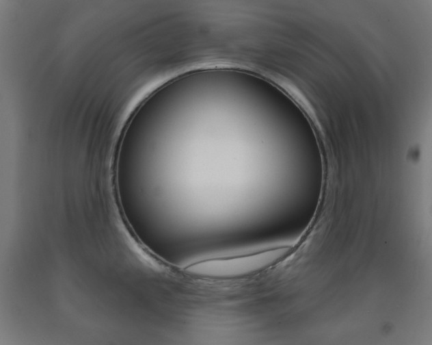X0000093251197200709261550