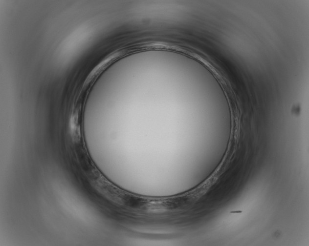 X0000093251198200709261550