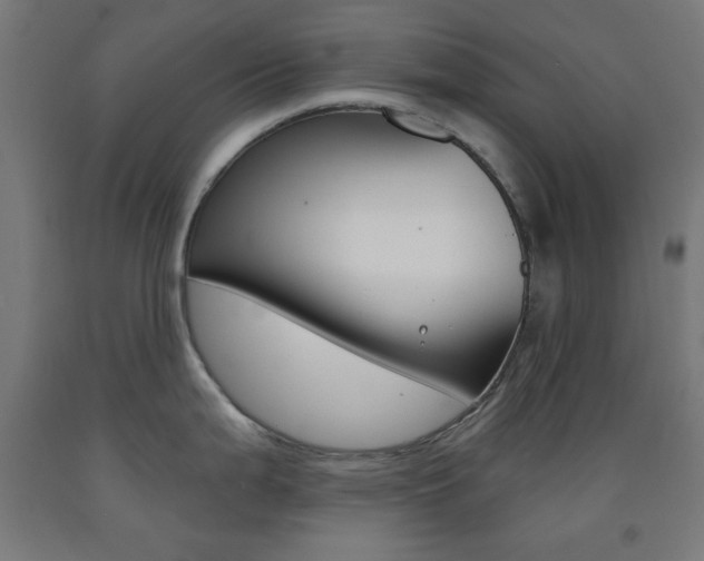 X0000093251199200709261550