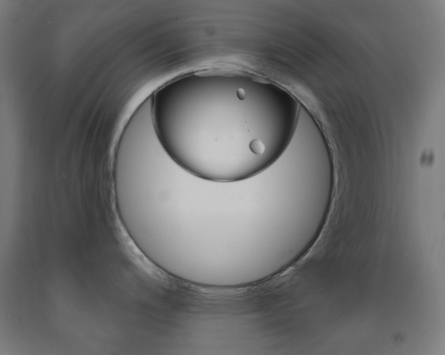 X0000093251200200709261550