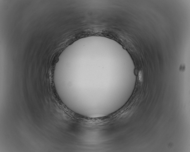 X0000093251203200709261549