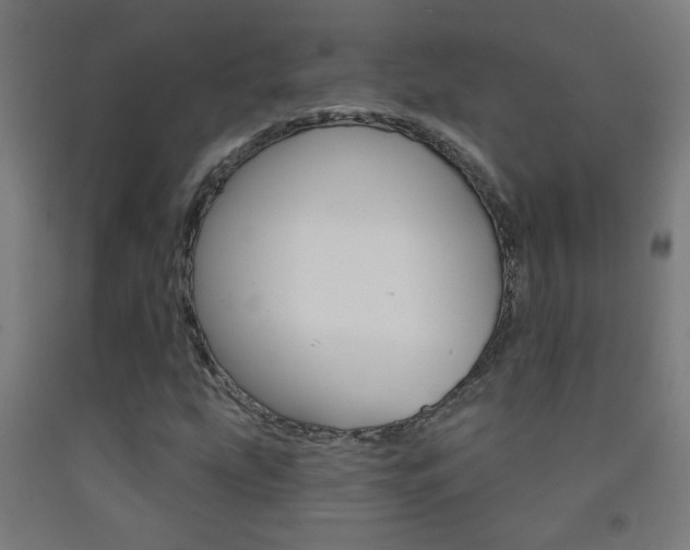 X0000093251207200709261549