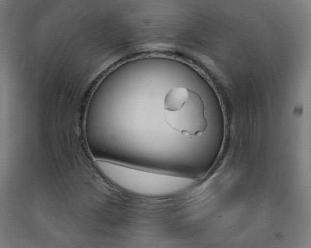 X0000093251209200709261549