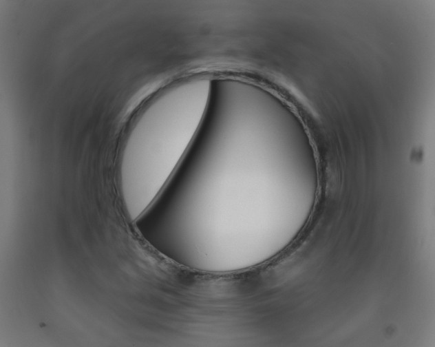 X0000093251213200709261549