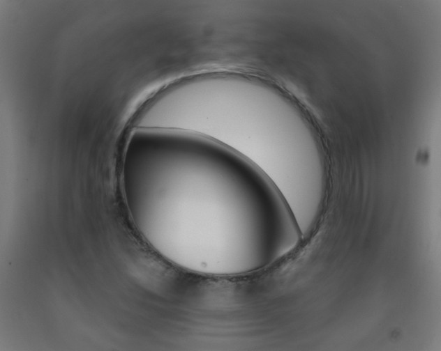X0000093251214200709261549