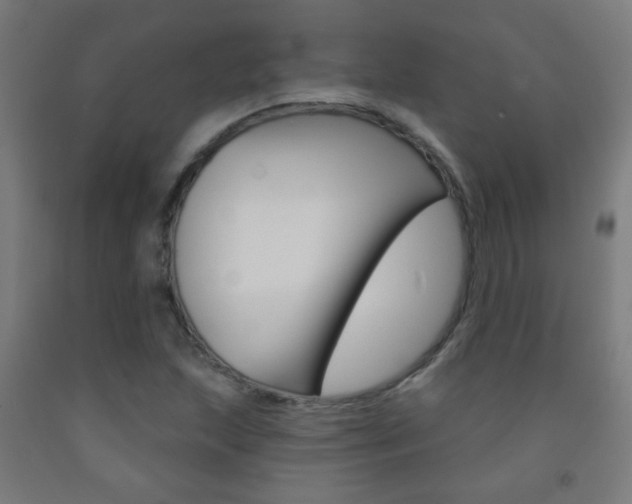 X0000093251215200709261549