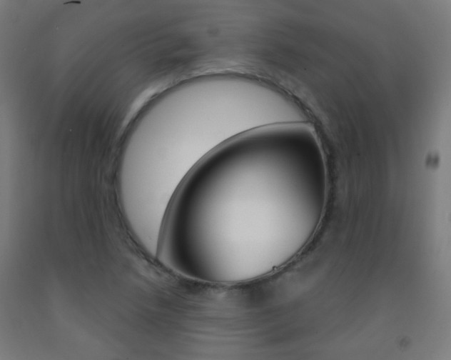 X0000093251218200709261549